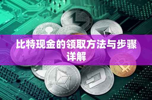 比特现金的领取方法与步骤详解