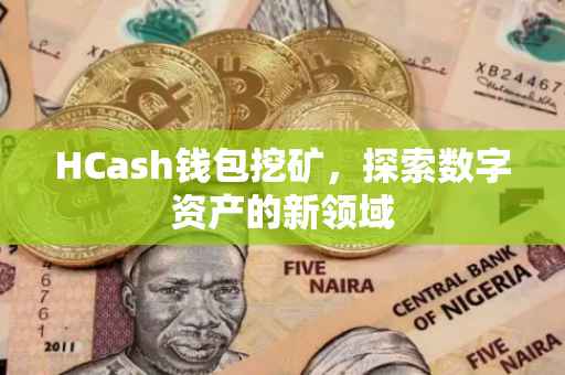 HCash钱包挖矿，探索数字资产的新领域