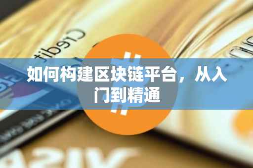 如何构建区块链平台，从入门到精通