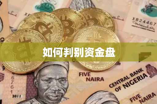 如何判别资金盘