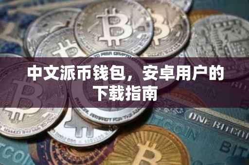 中文派币钱包，安卓用户的下载指南