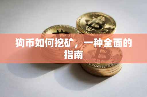 狗币如何挖矿，一种全面的指南