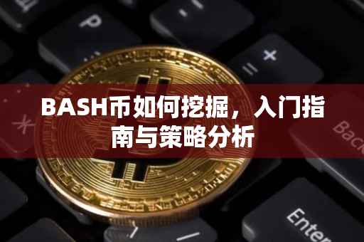 BASH币如何挖掘，入门指南与策略分析