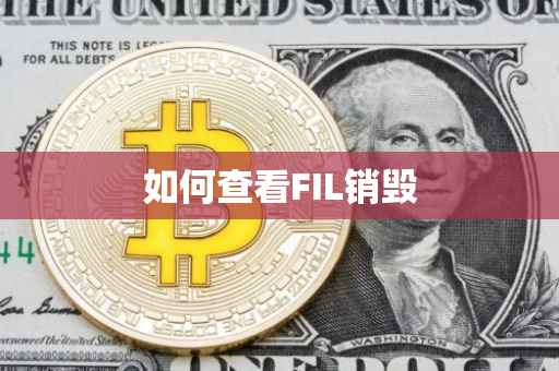 如何查看FIL销毁