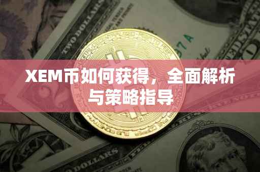XEM币如何获得，全面解析与策略指导