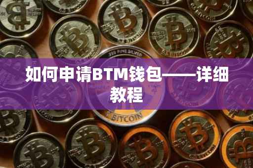 如何申请BTM钱包——详细教程