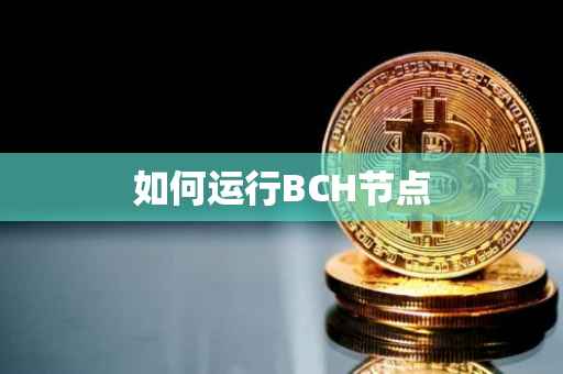 如何运行BCH节点