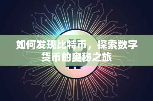 如何发现比特币，探索数字货币的奥秘之旅