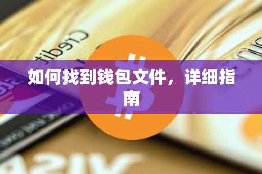 如何找到钱包文件，详细指南