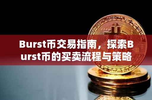 Burst币交易指南，探索Burst币的买卖流程与策略