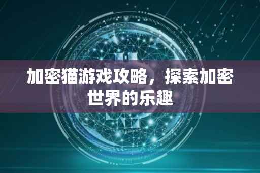 加密猫游戏攻略，探索加密世界的乐趣
