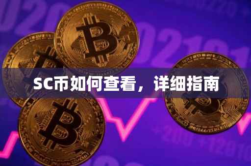 SC币如何查看，详细指南