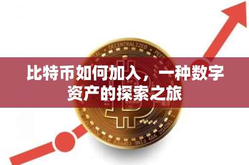 比特币如何加入，一种数字资产的探索之旅
