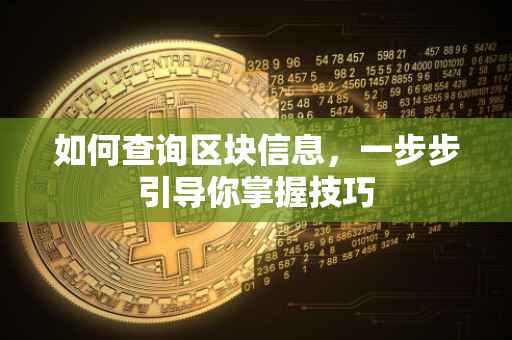 如何查询区块信息，一步步引导你掌握技巧