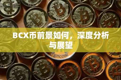 BCX币前景如何，深度分析与展望