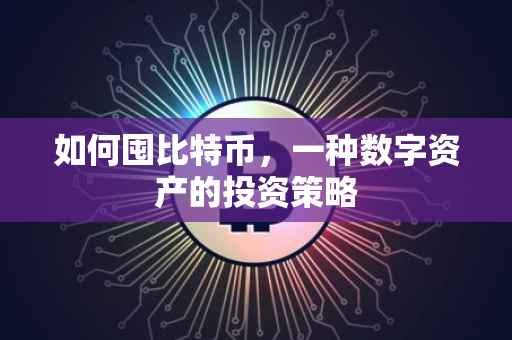 如何囤比特币，一种数字资产的投资策略