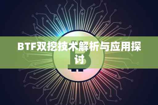 BTF双挖技术解析与应用探讨