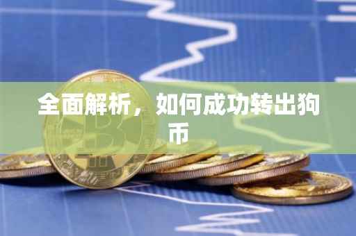 全面解析，如何成功转出狗币