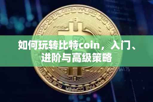 如何玩转比特coin，入门、进阶与高级策略