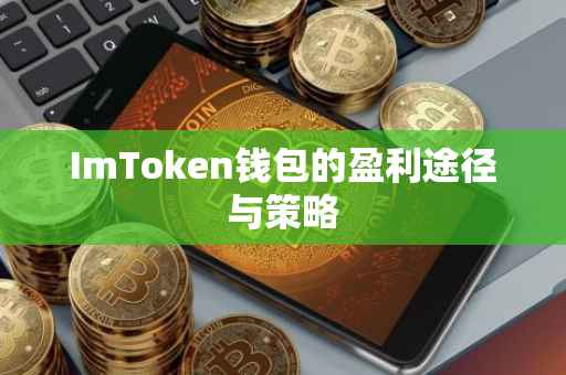 ImToken钱包的盈利途径与策略