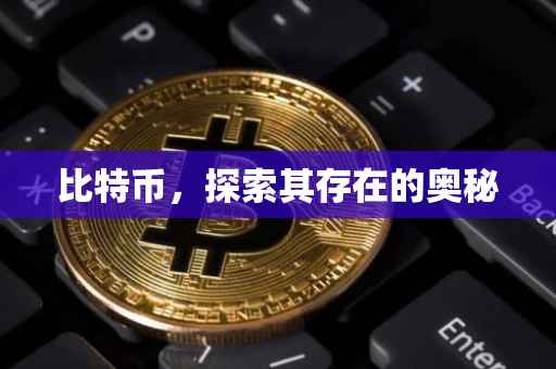 比特币，探索其存在的奥秘