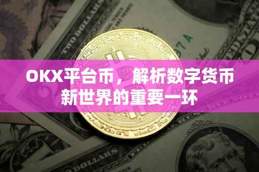 OKX平台币，解析数字货币新世界的重要一环