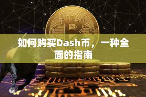 如何购买Dash币，一种全面的指南