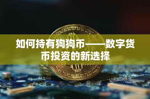 如何持有狗狗币——数字货币投资的新选择