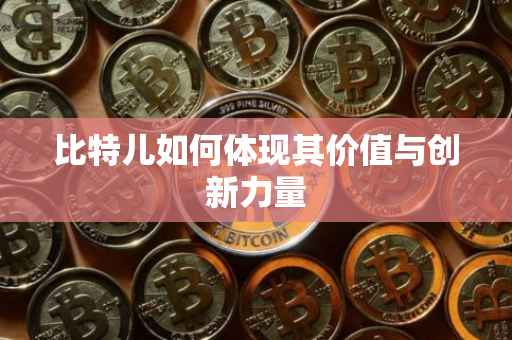 比特儿如何体现其价值与创新力量