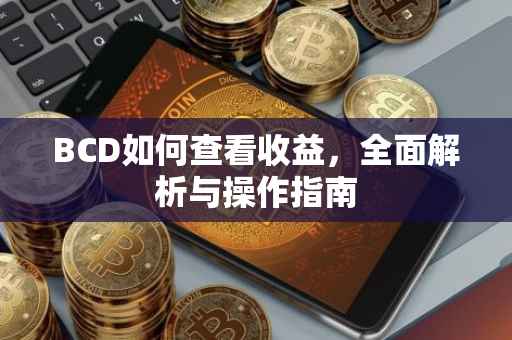 BCD如何查看收益，全面解析与操作指南