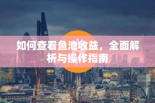 如何查看鱼池收益，全面解析与操作指南