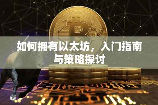 如何拥有以太坊，入门指南与策略探讨