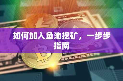 如何加入鱼池挖矿，一步步指南