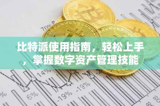 比特派使用指南，轻松上手，掌握数字资产管理技能