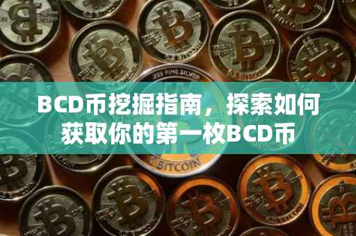 BCD币挖掘指南，探索如何获取你的第一枚BCD币