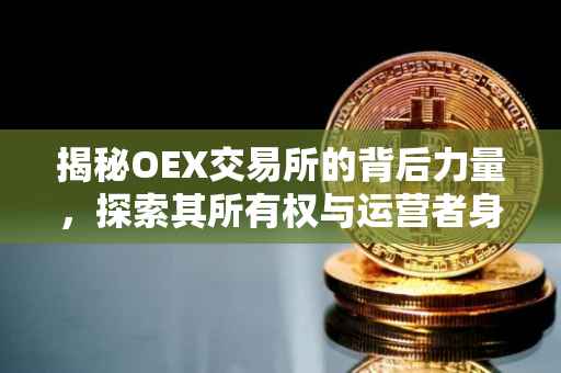 揭秘OEX交易所的背后力量，探索其所有权与运营者身份