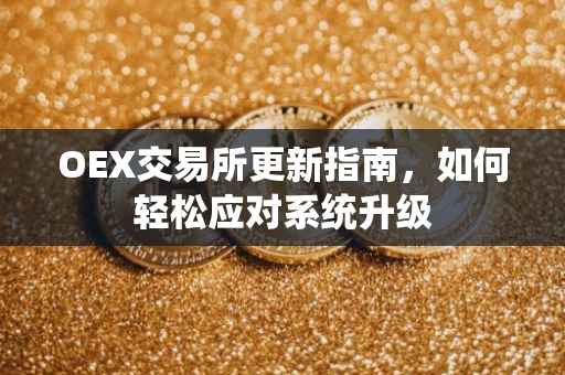 OEX交易所更新指南，如何轻松应对系统升级