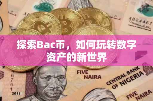 探索Bac币，如何玩转数字资产的新世界