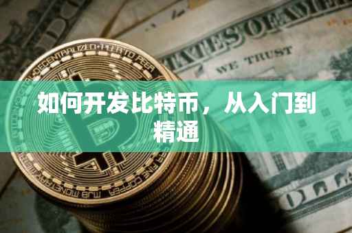 如何开发比特币，从入门到精通