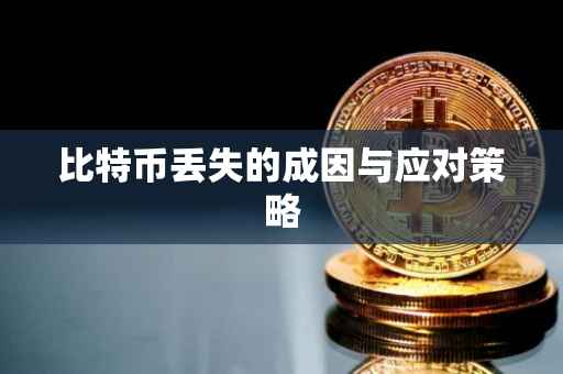 比特币丢失的成因与应对策略