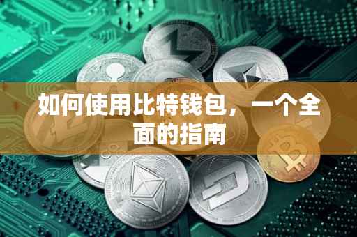 如何使用比特钱包，一个全面的指南