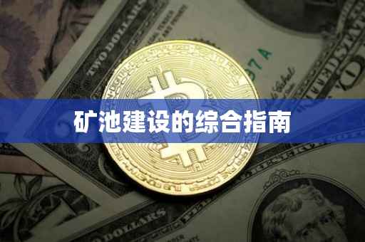 矿池建设的综合指南