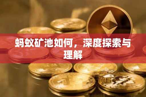 蚂蚁矿池如何，深度探索与理解