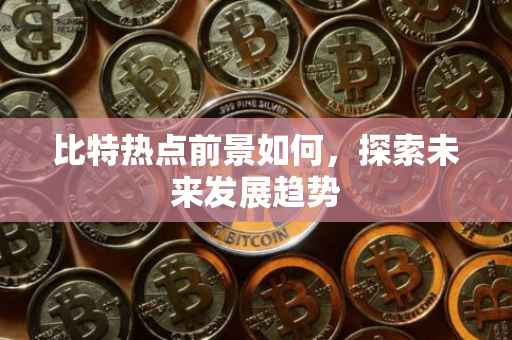 比特热点前景如何，探索未来发展趋势