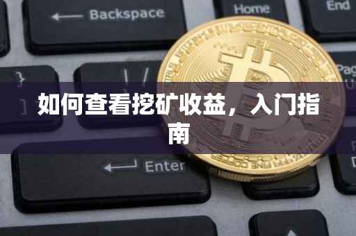 如何查看挖矿收益，入门指南