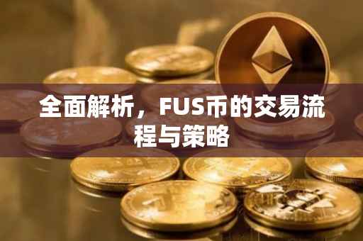 全面解析，FUS币的交易流程与策略