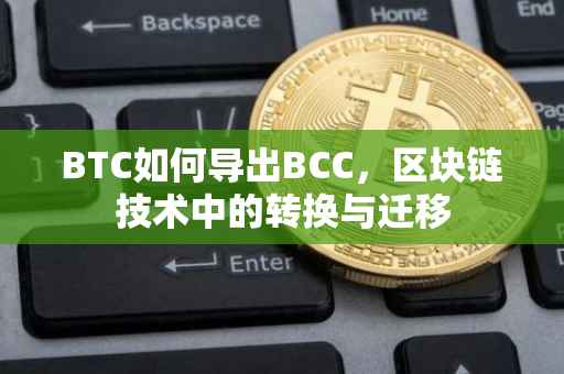 BTC如何导出BCC，区块链技术中的转换与迁移