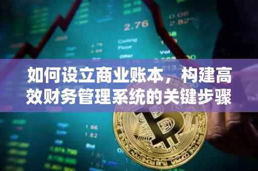 如何设立商业账本，构建高效财务管理系统的关键步骤