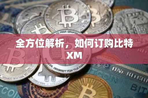 全方位解析，如何订购比特XM