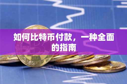 如何比特币付款，一种全面的指南